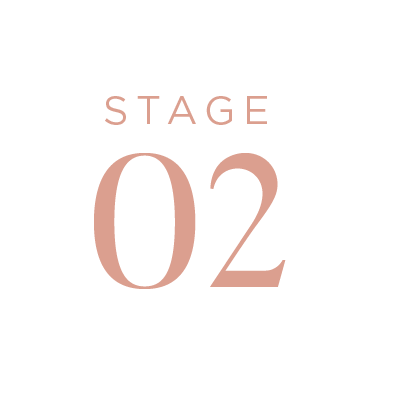 TH - Stage Icons - SMS Sales Page 2021_STAGE 02 - PEACH