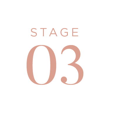 TH - Stage Icons - SMS Sales Page 2021_STAGE 03 - PEACH