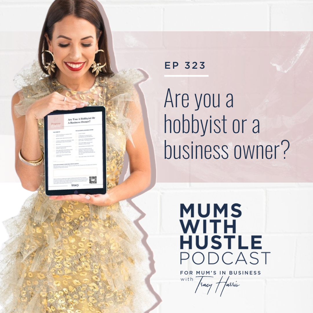 MWH 323 : *Are you a hobbyist or a business owner?*